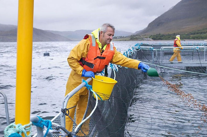Fish farm worker